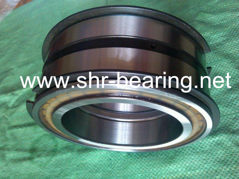 NACHI E5038NRNT E5038NR E5038 Cylindrical Crane roller bearing 