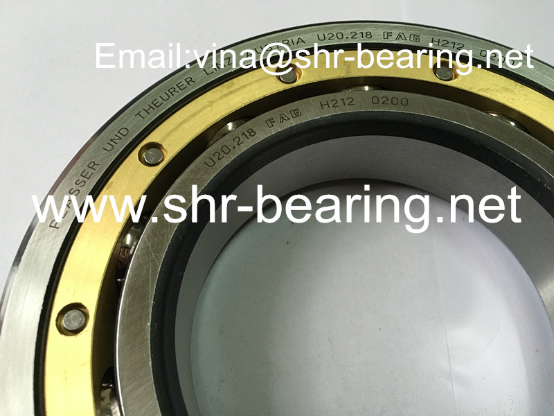 FAG bearing U20.220P VIBRATION SHAFT BEARING (PART OF RAILWAYS TRACK MAINTENANCE MACHINE)